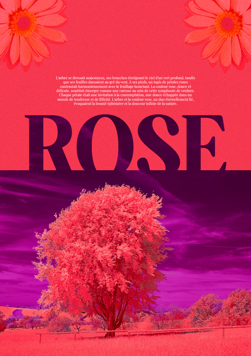 22.Rose